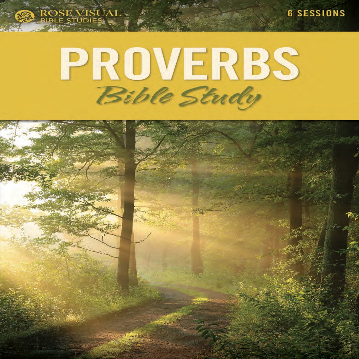 Proverbs Bible Study (Rose Visual Bible Studies)