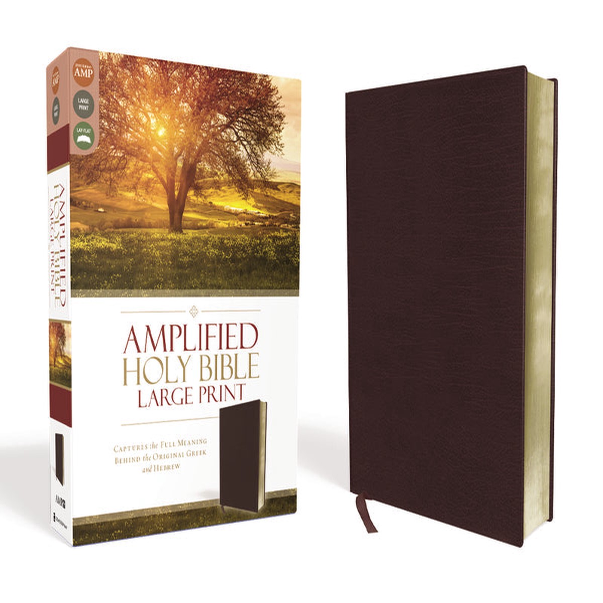 Amplified Holy Bible, Large Print: Captures the Full Meaning Behind the Original Greek and Hebrew Bonded Leather Large Print, Burgundy