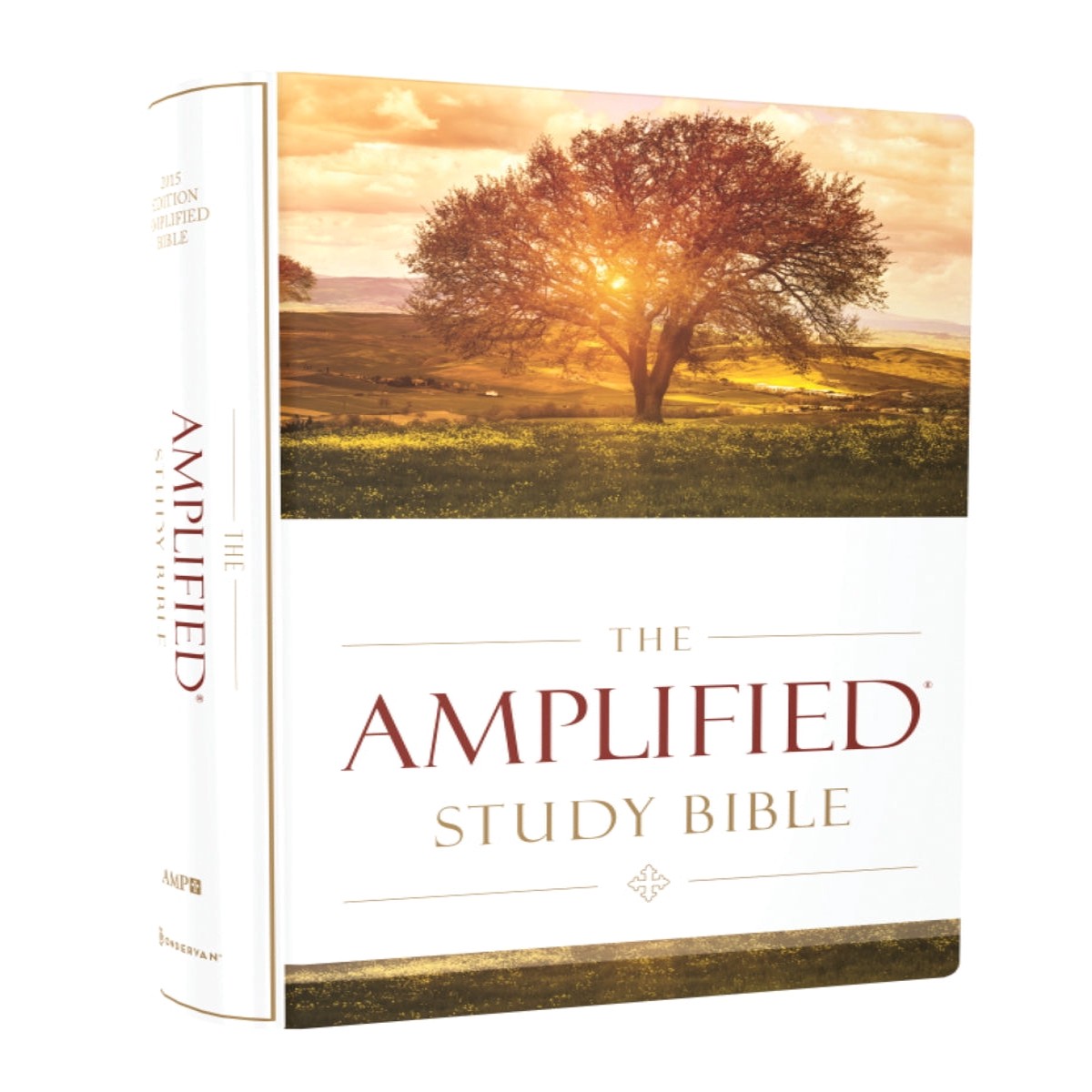 Amplified Study Bible Hardcover