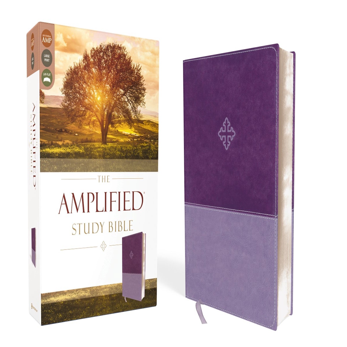 Amplified Study Bible Leathersoft, Purple