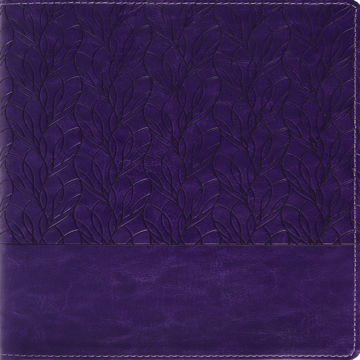 Amplified Holy Bible, Large Print: Captures the Full Meaning Behind the Original Greek and Hebrew Leathersoft, Purple