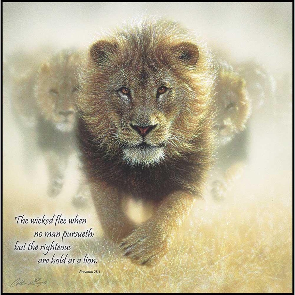Plaque Wall Bold as A Lion MDF 12X12