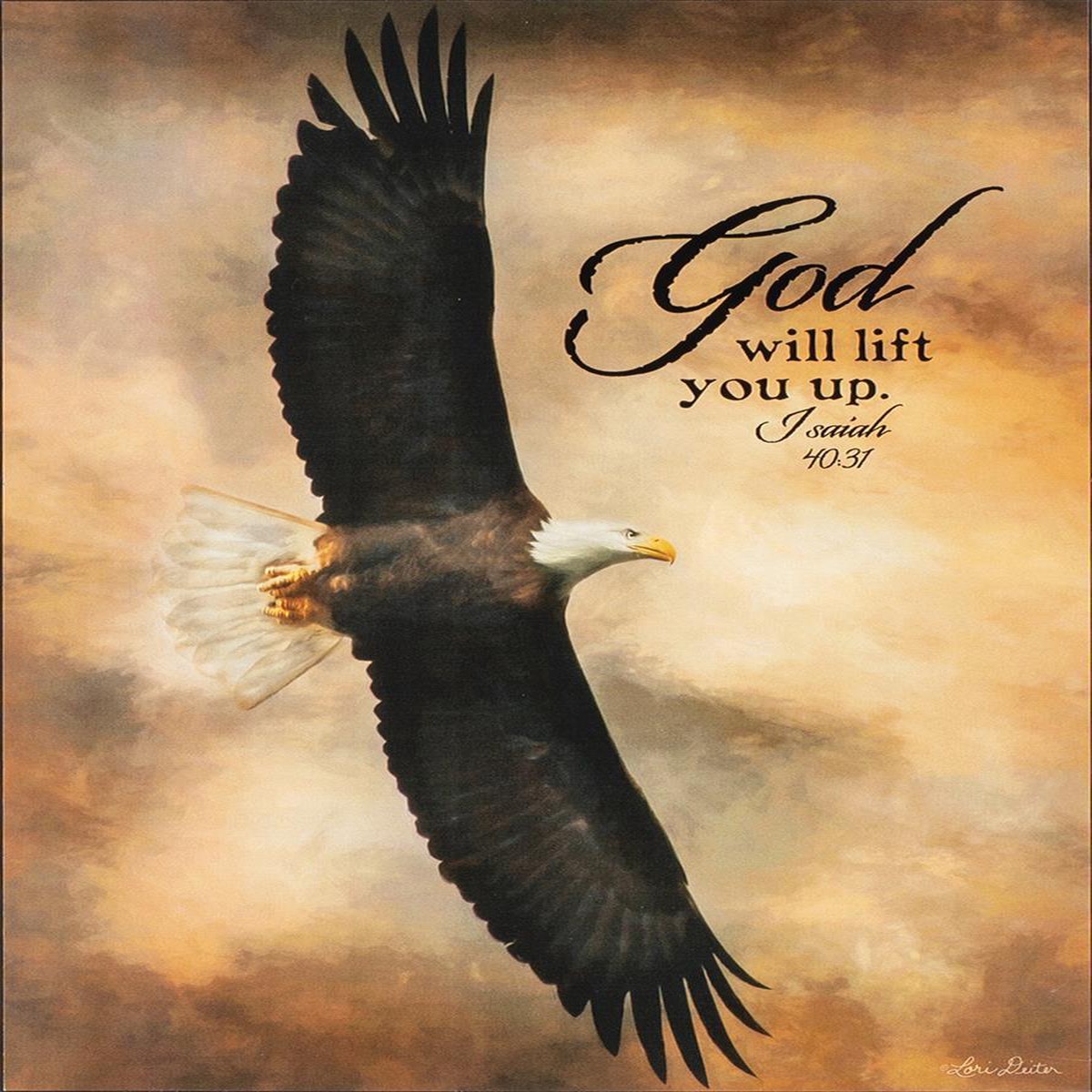 Plaque Wall Eagle MDF 12X16